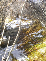 DSCN9483.JPG